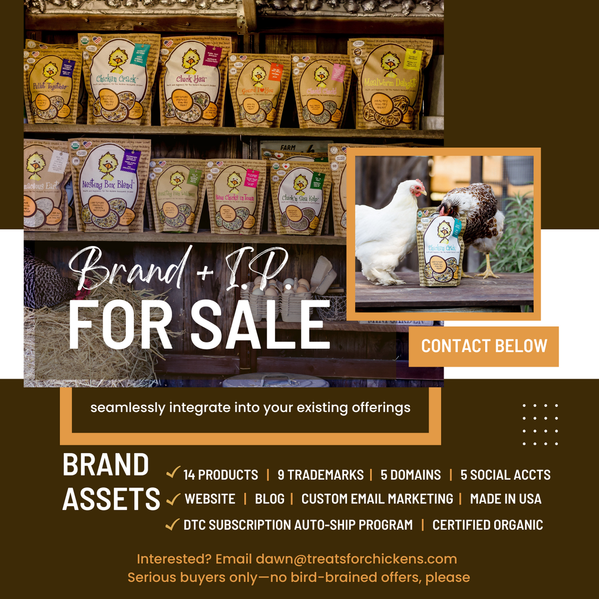 🥚 Cracked Deal? Let’s Hatch a New Plan— The Brand + IP for Sale