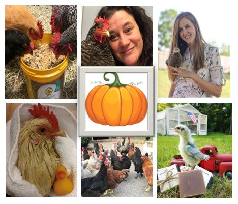 Chicken Moms & Dads You Want to Follow on Instagram This Month - OCTOBER