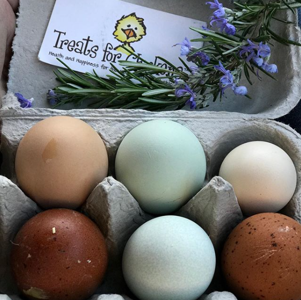 5 Best Colorful Egg Laying Chicken Breeds – Treats for Chickens