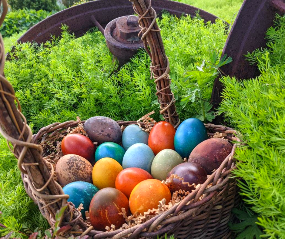 A woven basket of colorful eggs in a field of green grass.