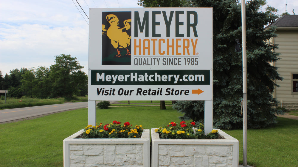 Meyer Hatchery - Polk, Ohio