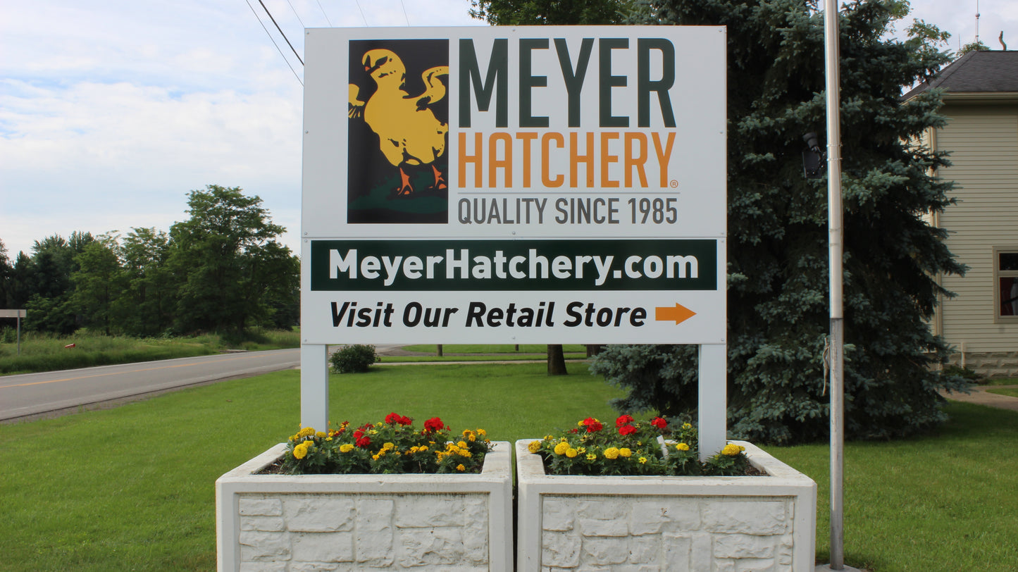 Meyer Hatchery - Polk, Ohio