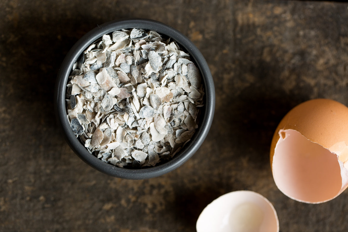 Oyster Shell for Beloved Backyard Chickens 6.01.2021 - Treats for Chickens