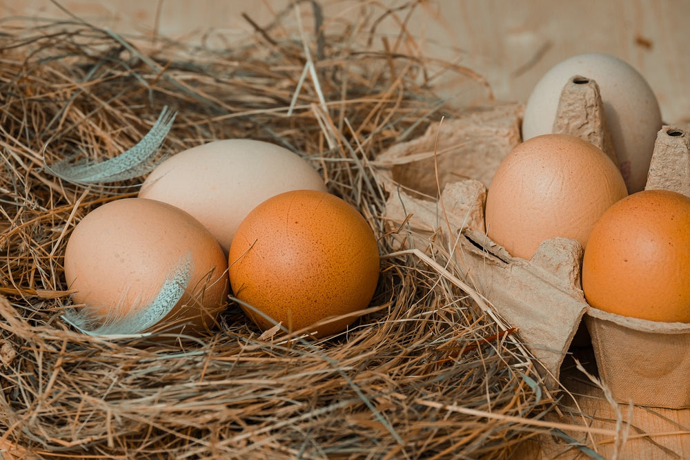 Couleur from Pixabay colored eggs colorful eggs brown eggs chicken eggs
