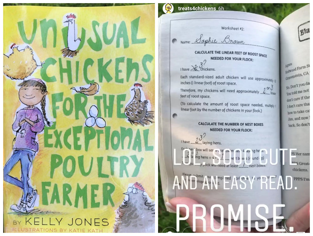 Fowl lovers book recommendation about a delightful protagonist, interesting fowl of various breeds 