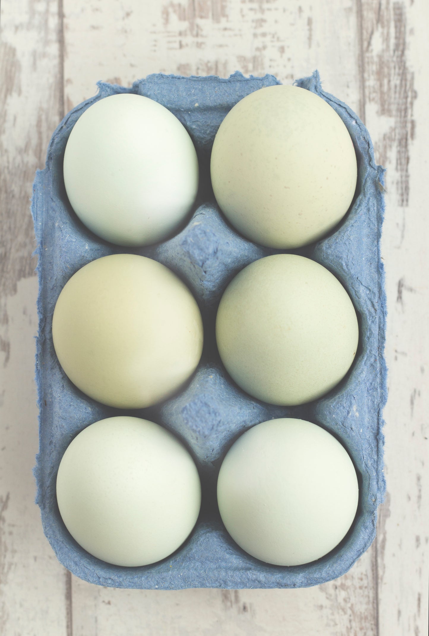 Selection Extra Large White Eggs