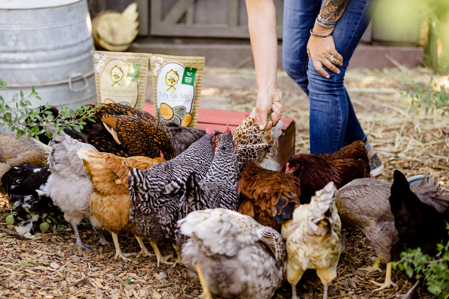 Treats for Chickens™