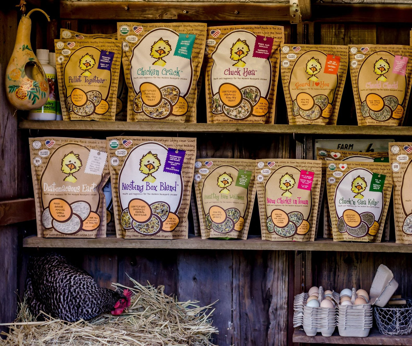 Treats for Chickens™