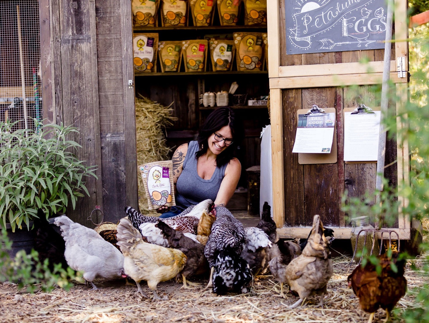 Treats for Chickens™