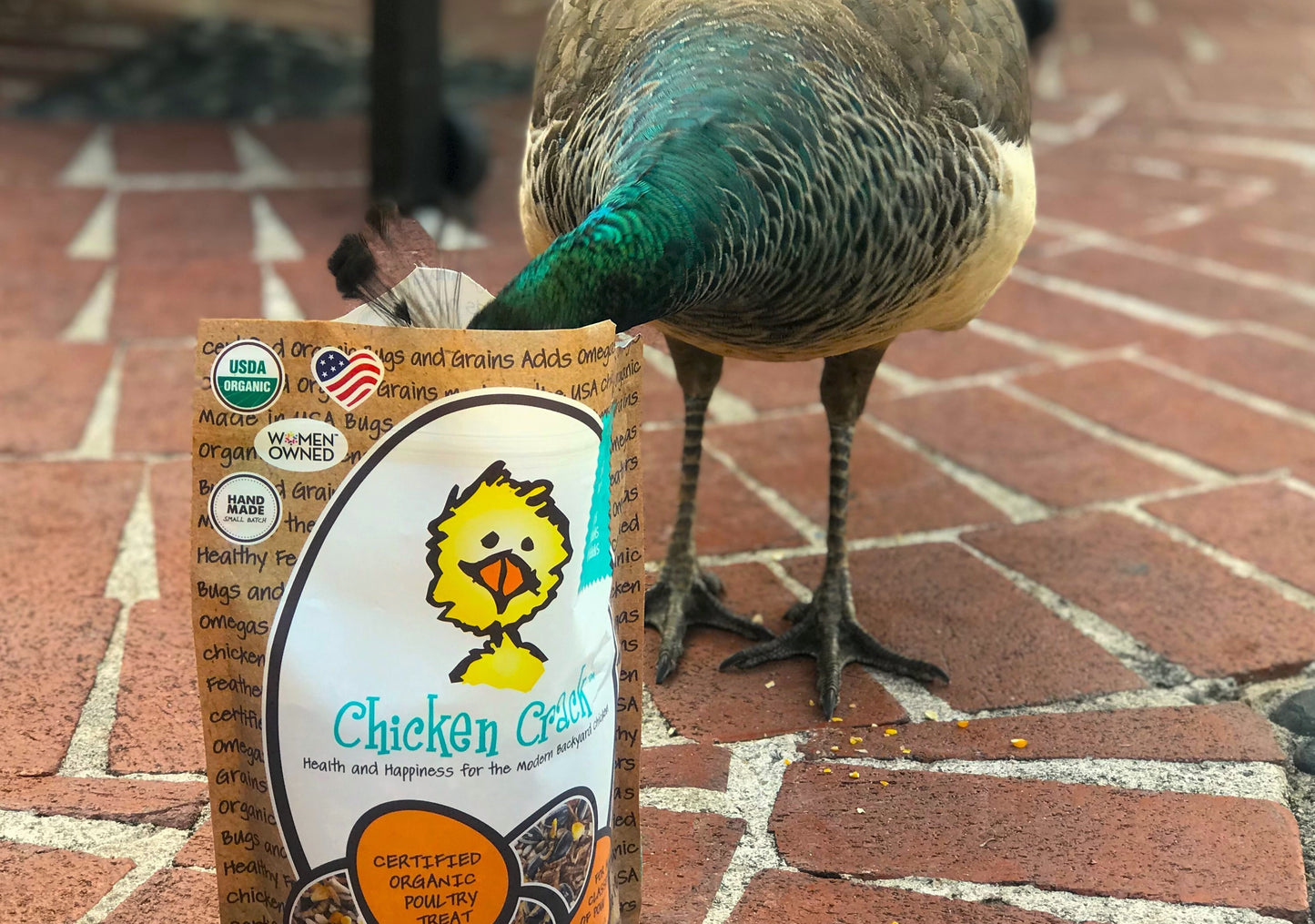 Treats for Chickens™