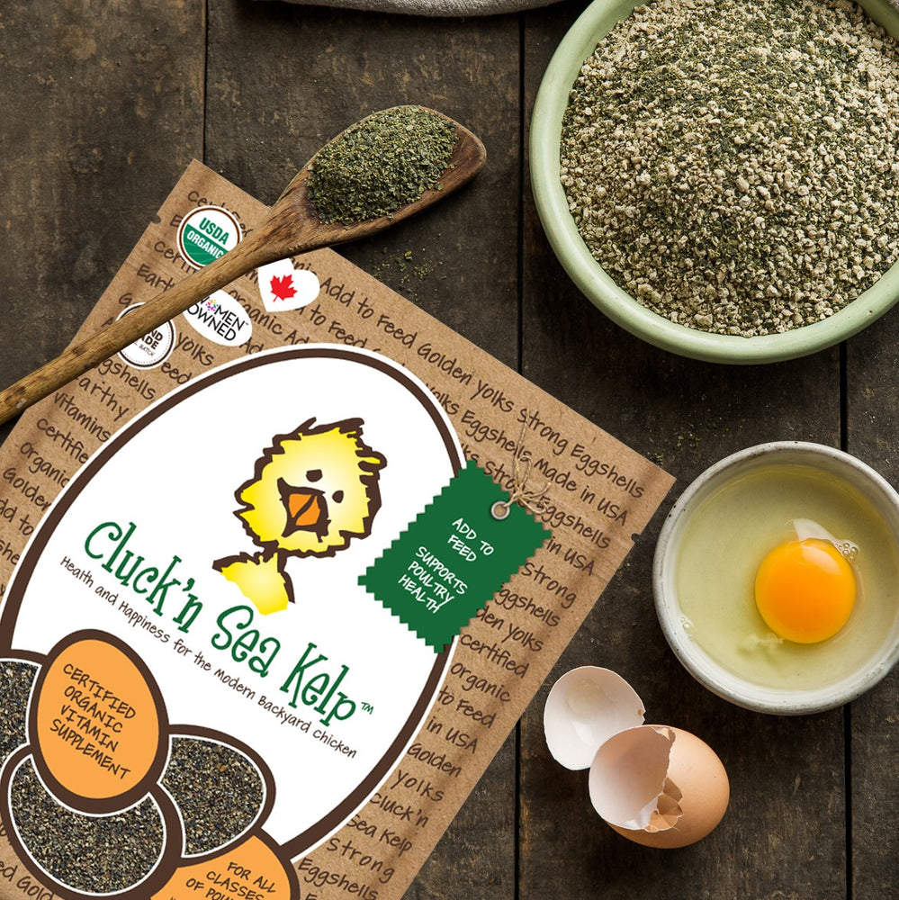 
                  
                    Open bag of Cluck'n Sea Kelp. Organic Supplement for Chickens treats, supplements, herbal nesting box blend, + poultry care. Backyard Chicken Parents flock to Treats for Chickens to treat their pet chickens + poultry. Est 2009 by Dawn in Sonoma County, California, USA. TFC.
                  
                