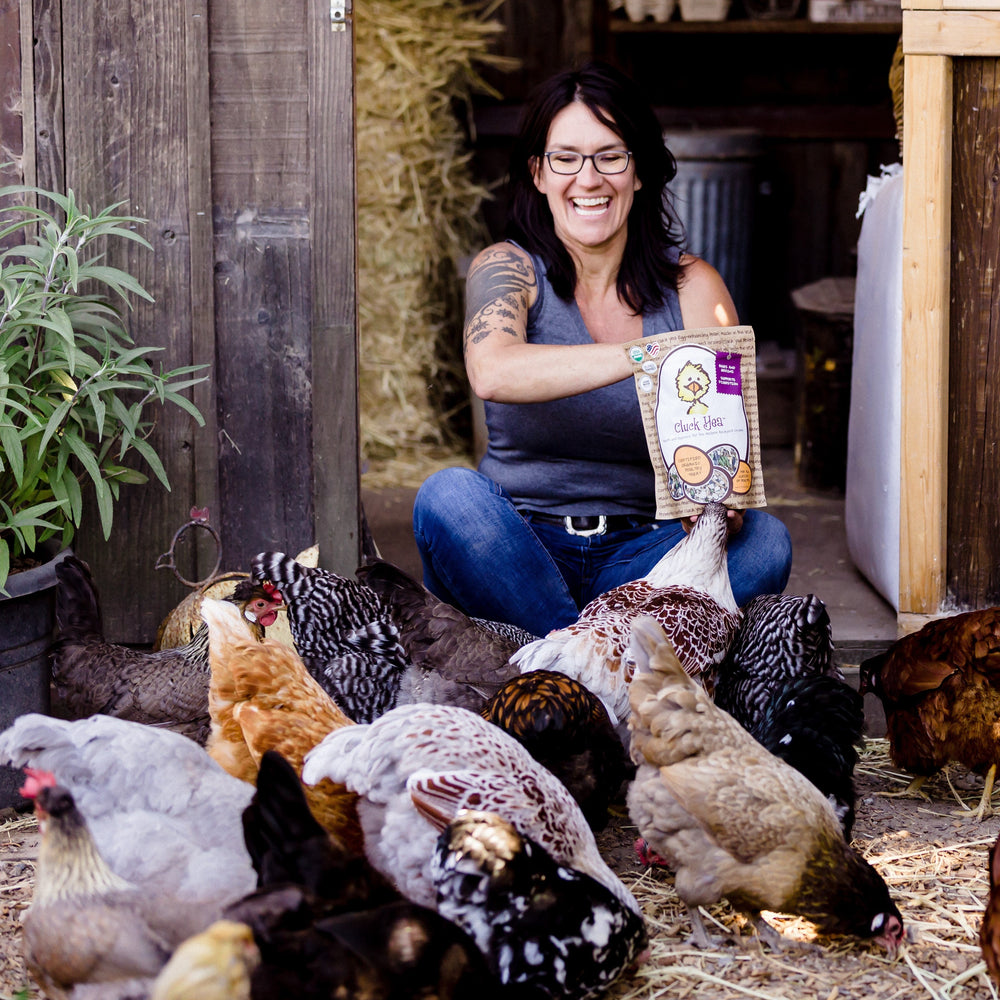 Cluck Yea. Organic Treats for Chickens treats, supplements, herbal nesting box blend, + poultry care. Backyard Chicken Parents flock to Treats for Chickens to treat their pet chickens + poultry. Est 2009 by Dawn in Sonoma County, California, USA. TFC.