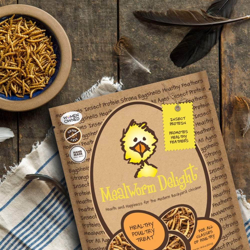 Mealworm Delight® | Mealworms Treat Poultry + Chicken Pets TFC – Treats for Chickens™