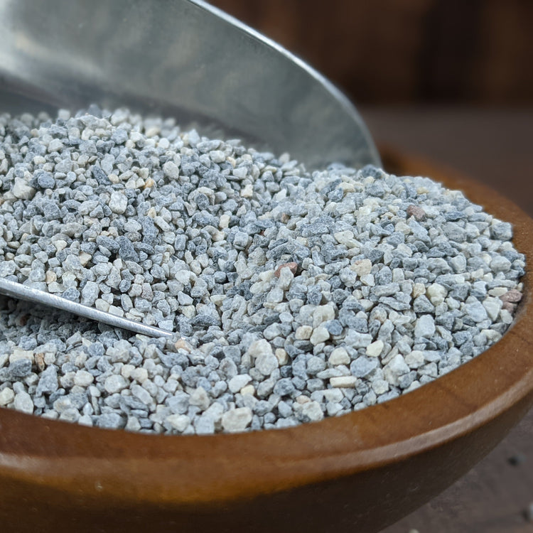 Treats for Chickens I Chicken Wellness + Health I USA Womanowned